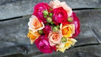 pic for Colorful Roses 